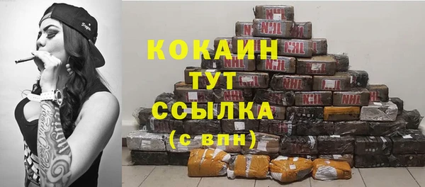 гашик Володарск