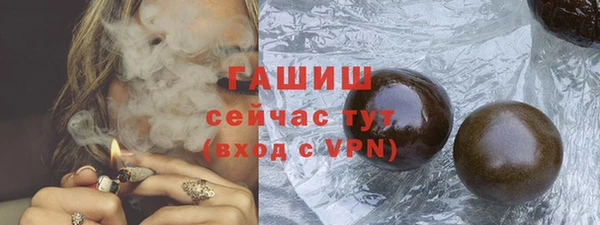 гашик Вязьма