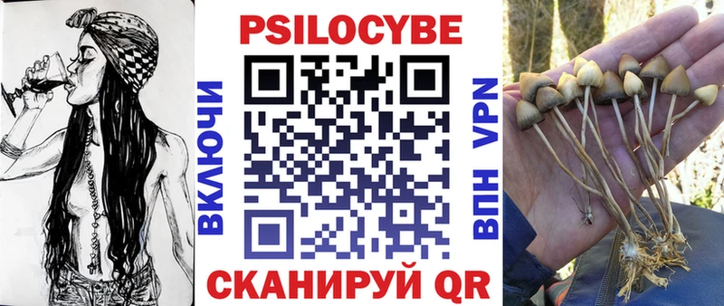 Купить где Таштагол Псилоцибиновые грибы GOLDEN TEACHER